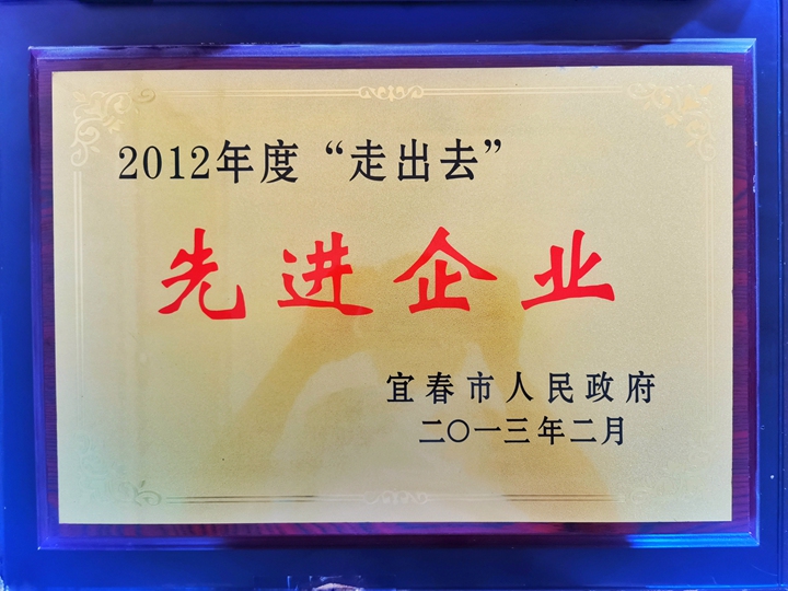 2012年度“走出去”先进企业